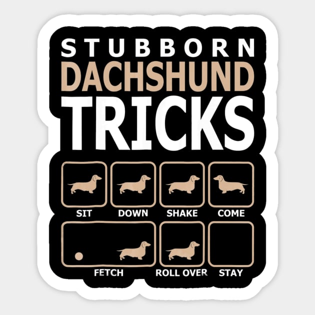 Dachshund stubborn sales